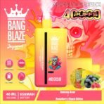 Bang Blaze 40K Puffs - 2 az 1-ben Vape Nagykereskedelmi Vásárlás - Image 16